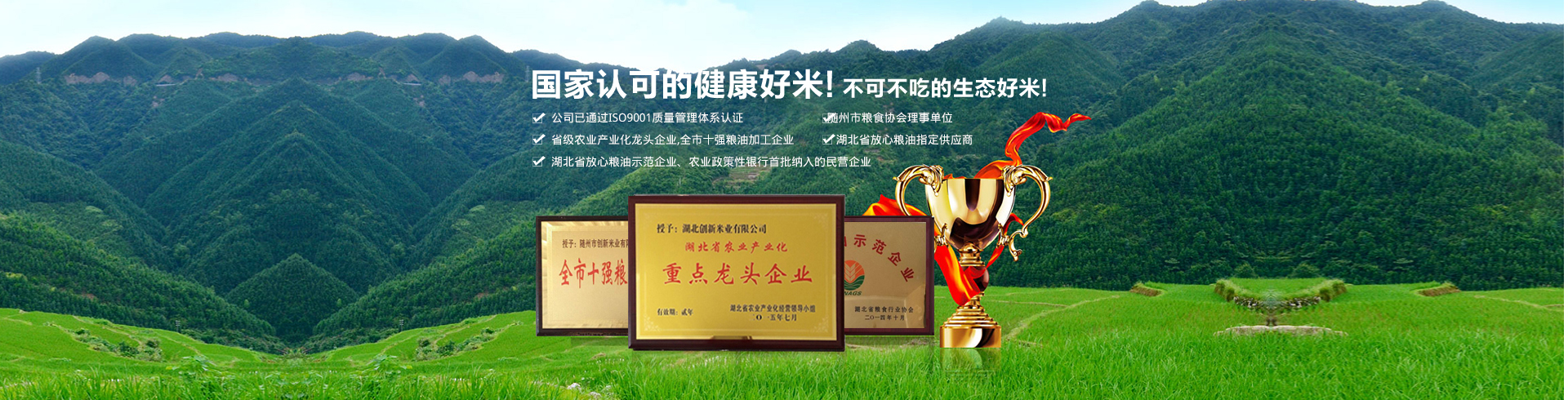 湖北久連環新材料有限公司